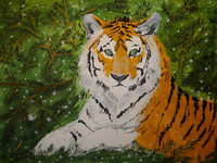 Тигр в еловом лесу