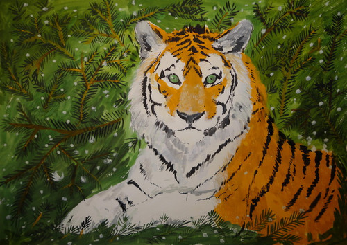 Тигр в еловом лесу