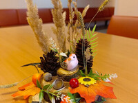 Птичка певчая