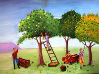 Сбор урожая