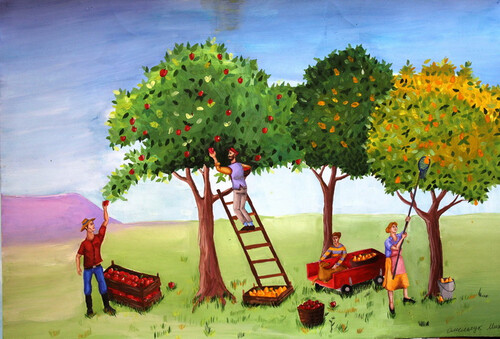 Сбор урожая