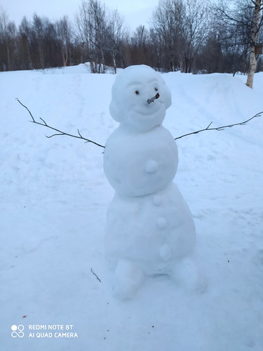 Весёлый снеговик